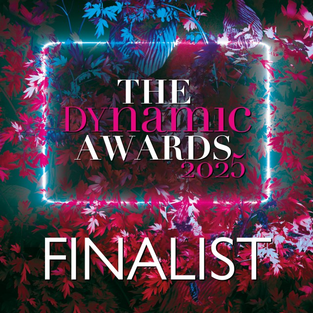 12 The Dynamic Awards Finalist